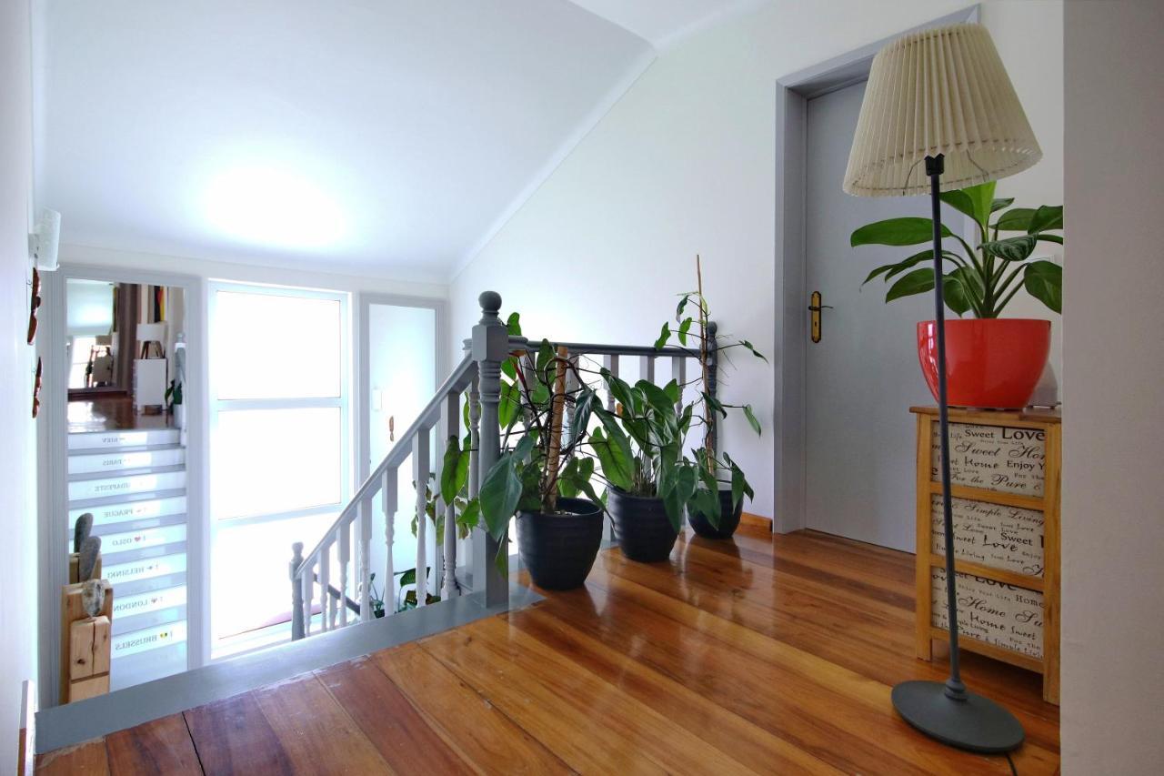 Casa Da Flor Hotel Ribeira Grande Kültér fotó